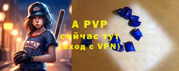 apvp Бородино